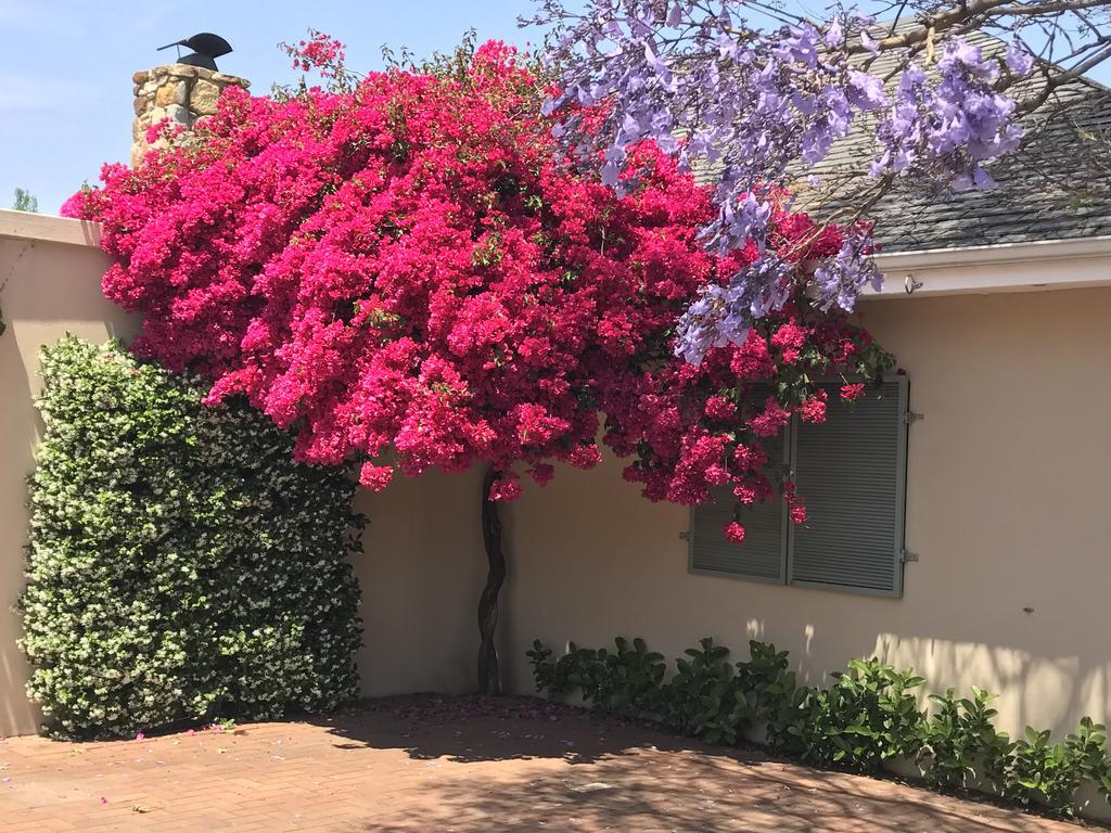 The Parkwood Hotell Johannesburg Eksteriør bilde