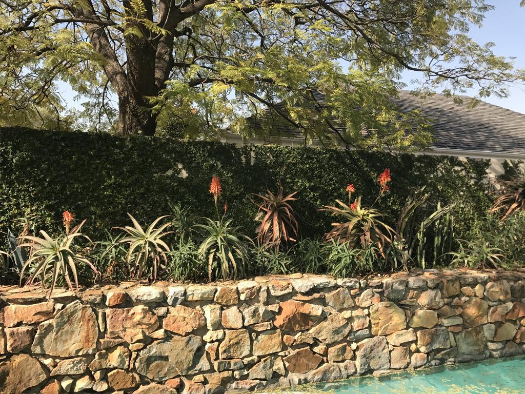 The Parkwood Hotell Johannesburg Eksteriør bilde